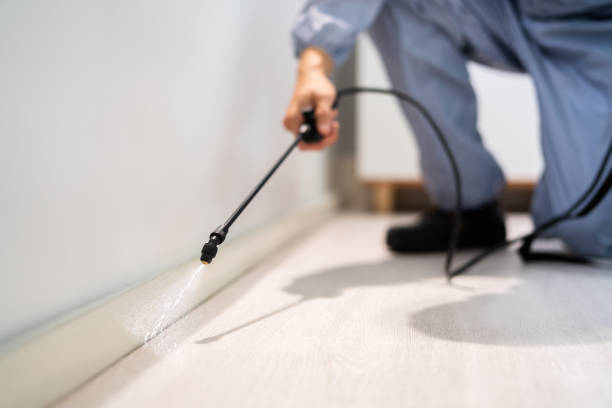Licensed Ant Control service in Richmond, VA - Nex Pest Control