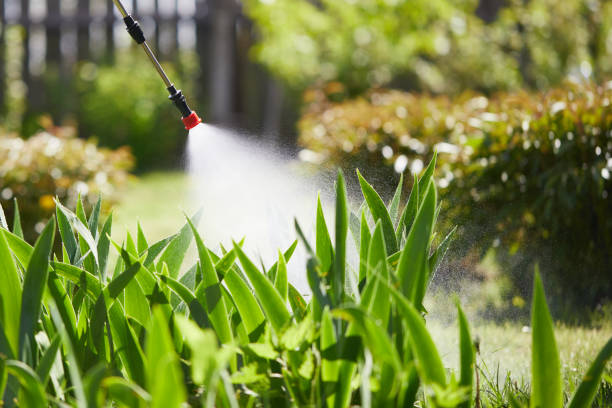 24/7 Emergency Ant Control experts in Richmond, VA